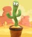 Pričajući kaktus za djecu